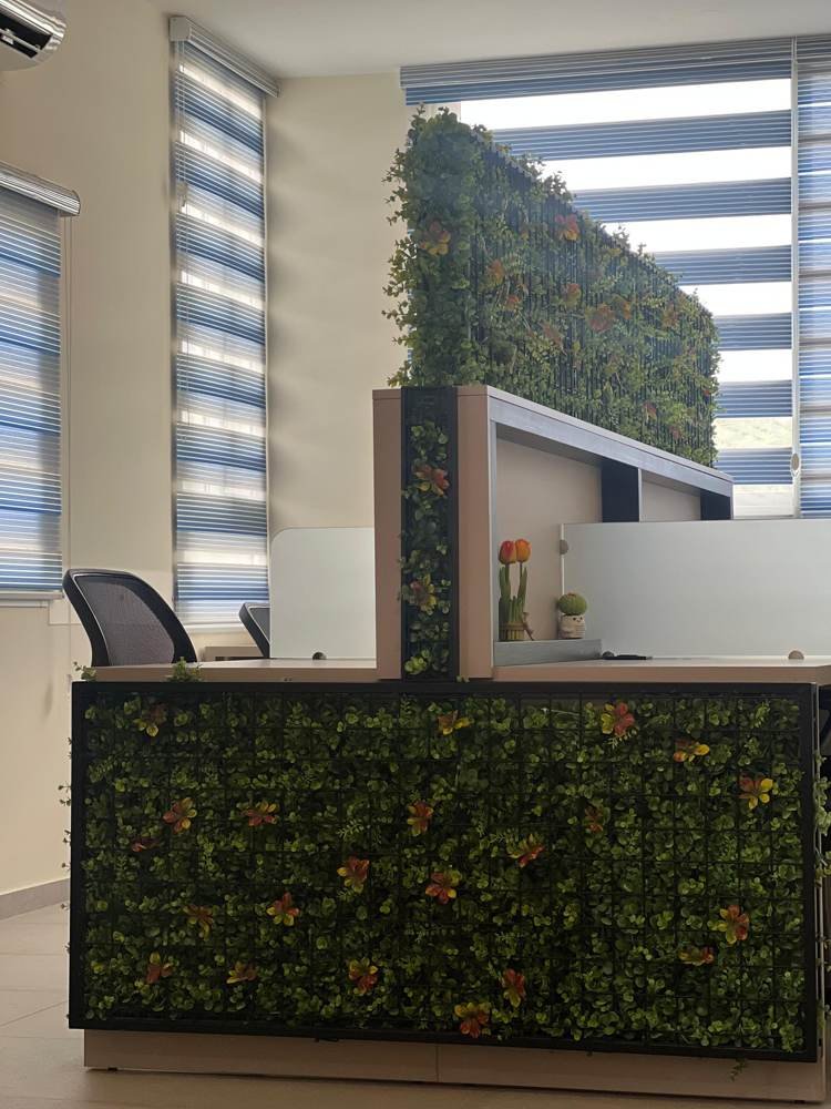 Desks framed by green walls and blue blinds at Bayt Al Hikma