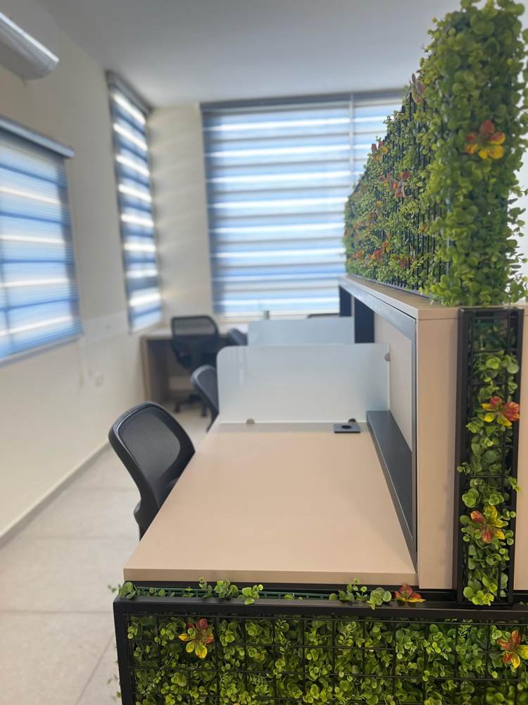 Row of desks beside the green wall